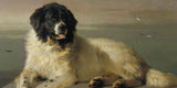 Animal Painters in History - The Masters Who Shaped Pet Portraiture