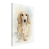 pet:dog