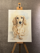 pet:dog