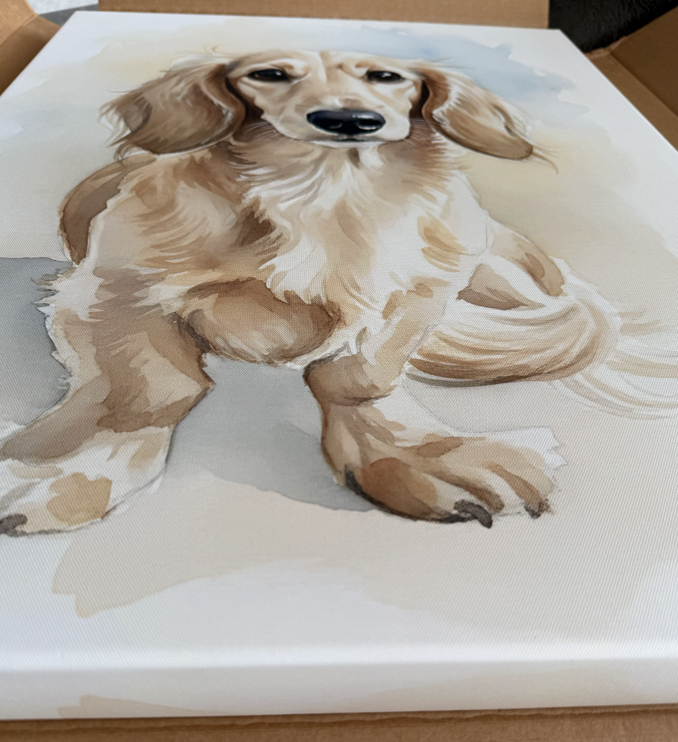 pet:dog