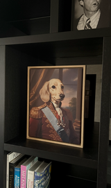 pet:dog