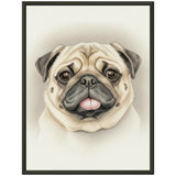 pet:dog