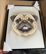 pet:dog